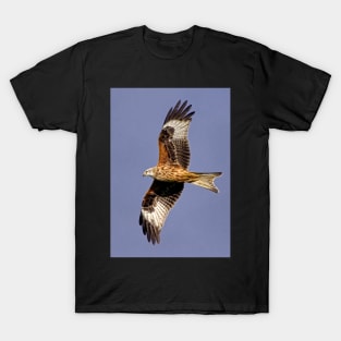 Soaring Red Kite T-Shirt